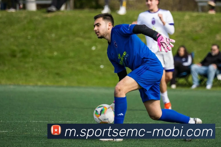 易倍体育平台生态图