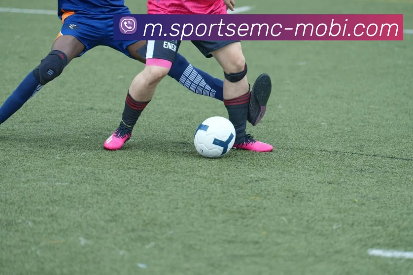 易倍体育APP 封面图